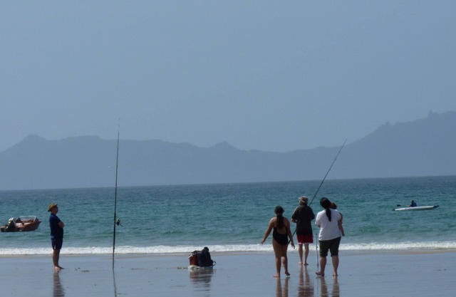 Camp Waipu Cove