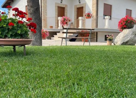 Campagna D'aMare