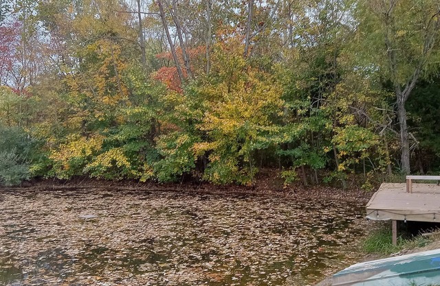 Campground, in the heart of the 2024 Solar Eclipse path, country setting w/ pond