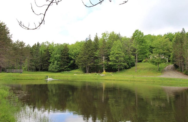 Camping au pied du mont Mégantic