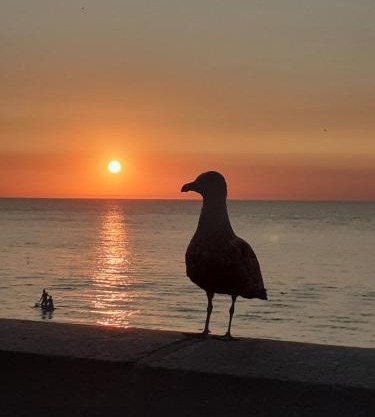 Camping les falaises de Toussaint