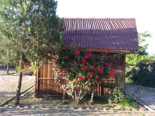 Camping Lotca Fermecata