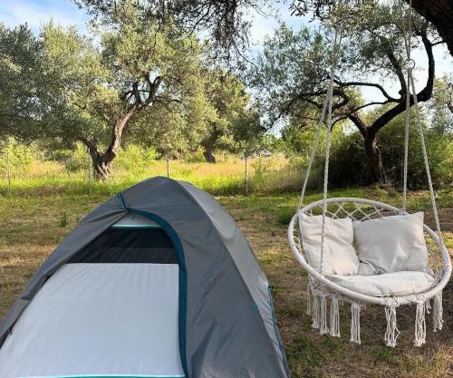 Camping Qeparo