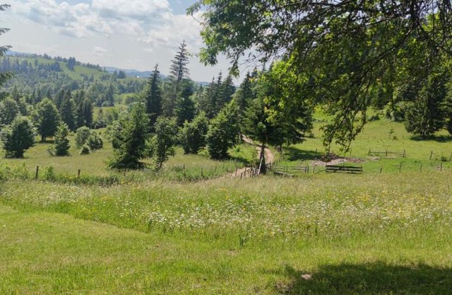 Camping VATRA