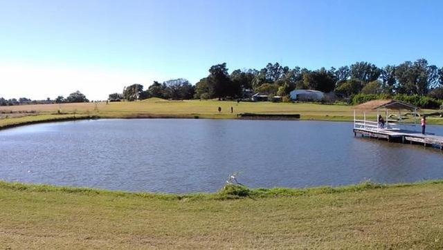 Campo & Golf