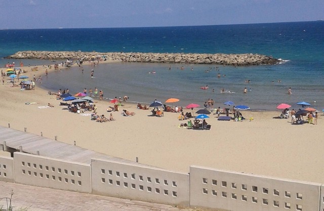 CampoDiMare .........
