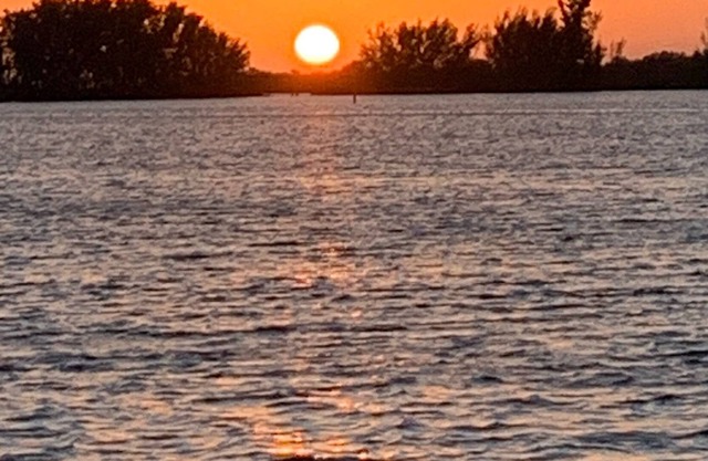 Canal front home minutes to Gulf of Mexico with back yard oasis.