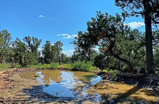 Cannabis friendly camping