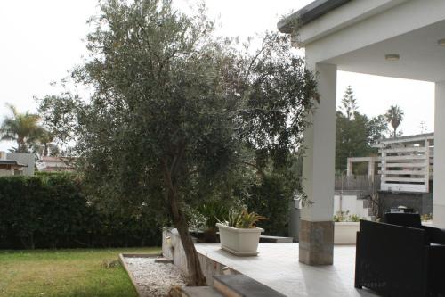 Cannata's Home