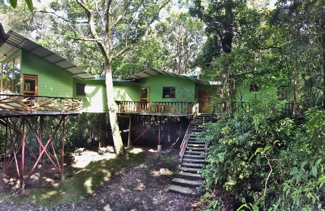 Canopy Wonders Casa de vacaciones
