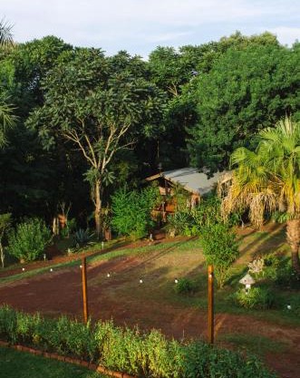 Canto de Pájaros