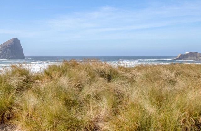 Cape View Escape