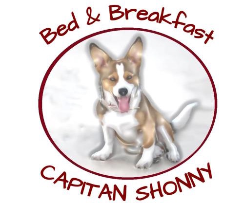 Capitan Shonny