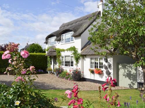 Captain's Cottage - 27888