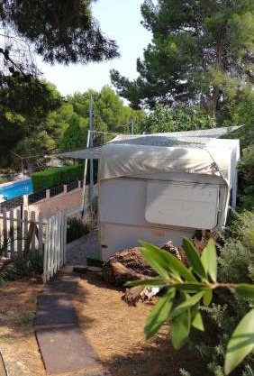 CaravanaStar