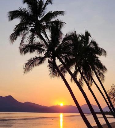 Cardwell Beachfront Motel