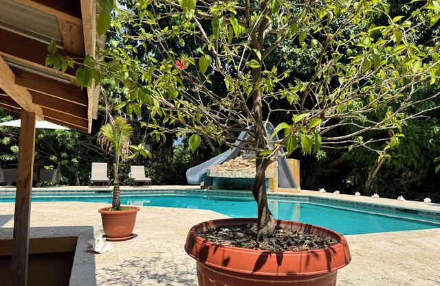 Caribbean Shores Bed & Breakfast