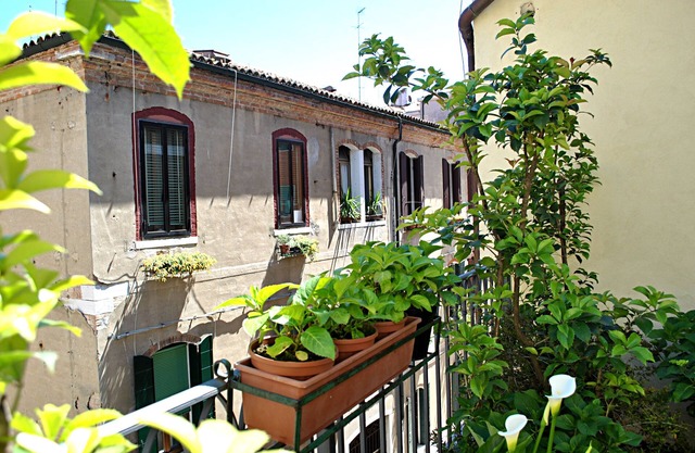 Carlton Capri Hotel
