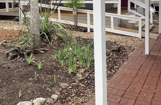 Carol's Casa in the quaint Methodist Encampment neighborhood