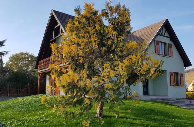 Casa caroline