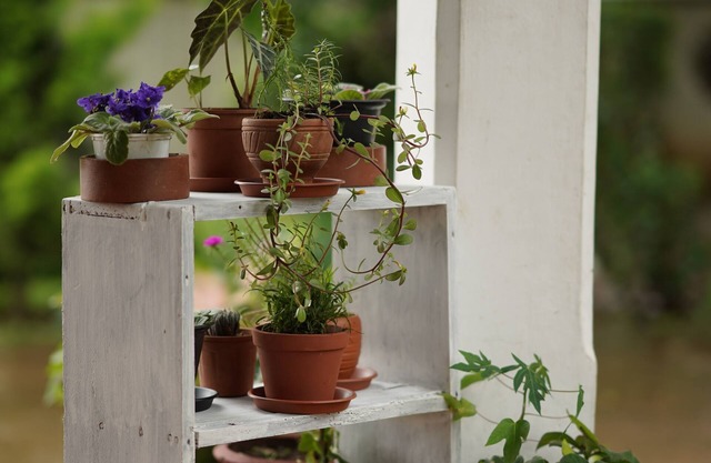 Carpe diem stay a holiday home located in the midst of greenery away from town..