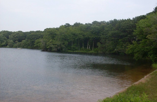 Nueva Carriage House, natación, canotaje, kayak, a pocos pasos de su puerta ...