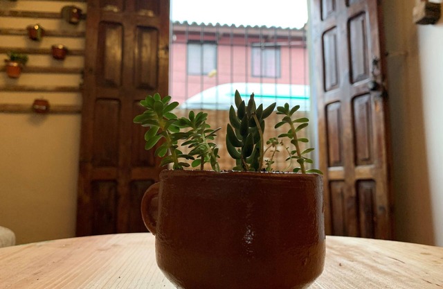 Casa PiYo, cerca del centro