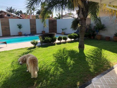 Casa aconchegante com piscina na praia