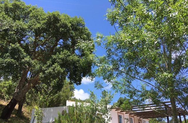 Casa Alcaria
