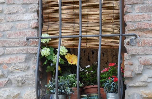 CASA ALDEN - Acogedora propiedad toscana