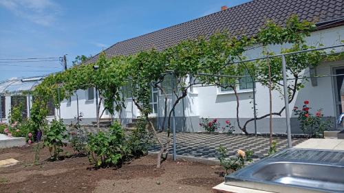 Casa Angy