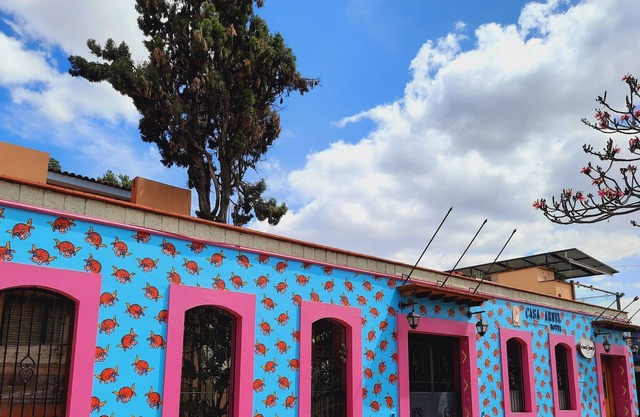 Casa Arnel