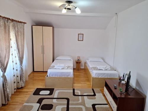Casa Auraș