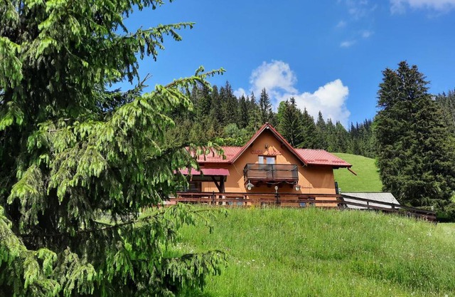 Casa Aurici Vatra Dornei