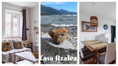 Casa Azalea