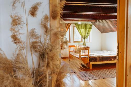 Casa bunicilor/Grandparent’s house