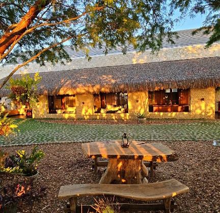 Casa Cactus Praia