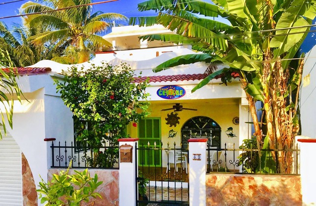 Casa Ceviche: Nueva Ofrenda en las Colinias