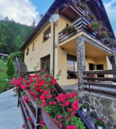 Casa Codrilor