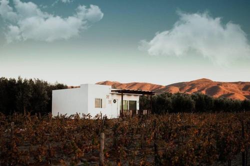 Casa Colibri Guadalupe Valley
