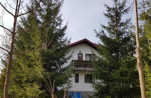Casa cu brazi