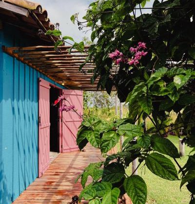 Casa Curimã