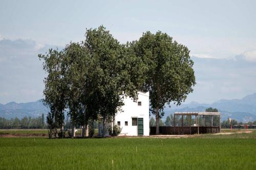 Casa Cusa