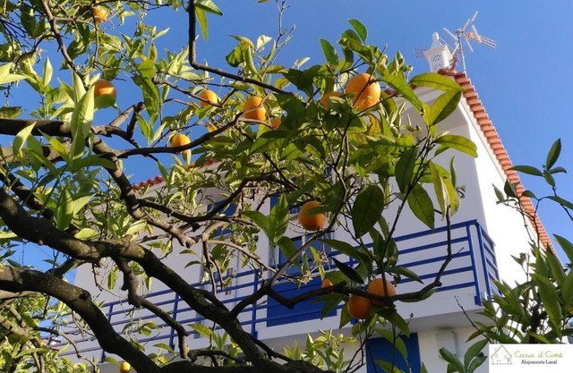 Casa D'Avó (1º Andar)
