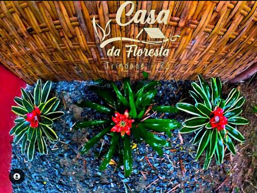 Casa da Floresta