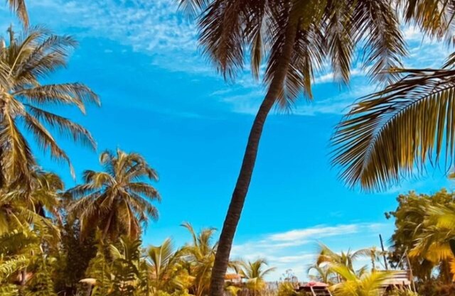 Casa das Rendas Exclusive Bungalows
