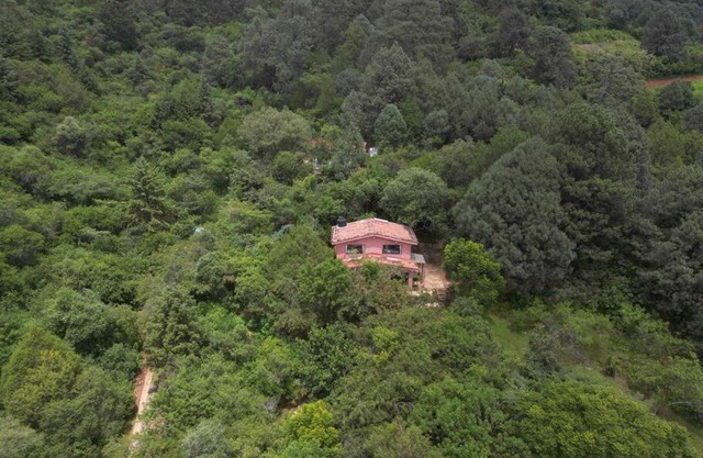 “Casa de campo: Los Abuelos”