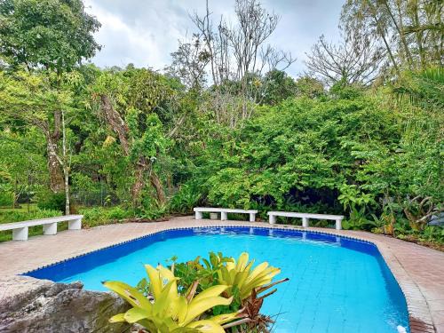 Casa de Huéspedes Privada, piscina con agua termal