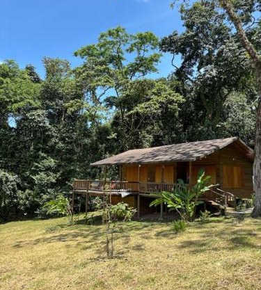 Casa de Micos
