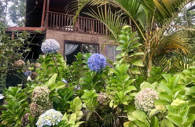 Casa de Nubes (La Casa de la Nube)